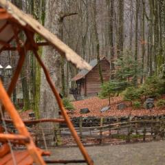 База відпочинку ШИПОВЕЦЬ