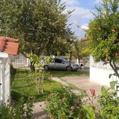 Vasiliki's guest house