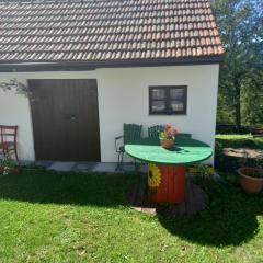 Family friendly house with a parking space Zakrajc Brodski, Gorski kotar - 20569