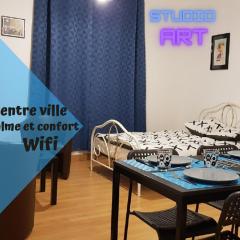 **Studio Art - 30m2 - Centre ville**