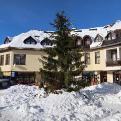 Apartment Harrachov 611-1 by Interhome