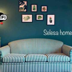 THE GREEN @SELESA HILLHOMES BUKIT TINGGI BENTONG