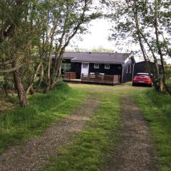 Holiday Home Friedeborg - 1km from the sea in Western Jutland by Interhome