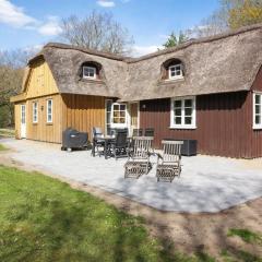 Holiday Home Fina - 15km from the sea in Western Jutland by Interhome