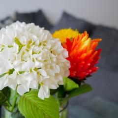 Newly decorated 1 Bed Apartment, with balcony - Osu Residential