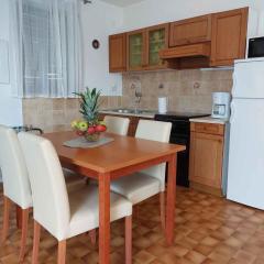 Apartment in Radici - Istrien 43580