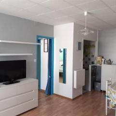 Appartement Saint-Hilaire-de-Riez, 2 pièces, 4 personnes - FR-1-324A-22