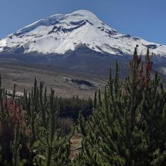 Hospedaje Chimborazo