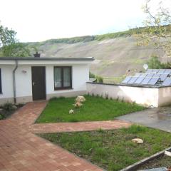 Moselle-view Apartment in Wehlen with Garden and Terrace