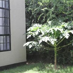 Kijivu Suites 3, Mateves