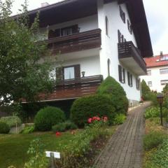 Wunderschöne Wohnung in Spiegelau mit Terrasse, Grill und Garten