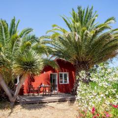 Ferienhaus für 4 Personen ca 90 m in Puntagorda, La Palma Westküste von La Palma