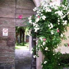 Ferienwohnung für 5 Personen ca 50 qm in Miasino, Piemont Ortasee