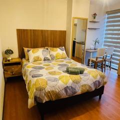 Estudio acogedor y elegante