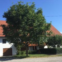 Hochwertig renovierte Ferienwohnung mit Garten im schönen Tannheim