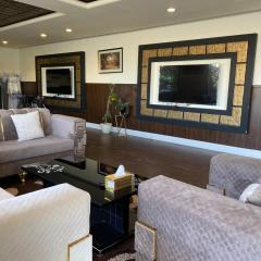 شركه نيو لايل