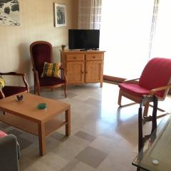 Appartement F2 avec Terrasse, Parking et WiFi, Animaux Acceptés, proche Amélie-les-Bains. - FR-1-703-13