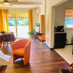 Magnifique F3 lumineux avec terrasses, climatisation, garage et WiFi à Amélie-les-Bains - FR-1-703-81