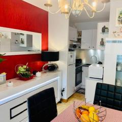 Studio cosy avec terrasse - 2 pers - Amélie-les-Bains - FR-1-703-58