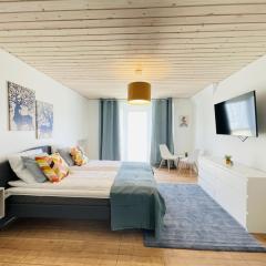 aday - Spacious and beautiful apartment in the center of Frederikshavn