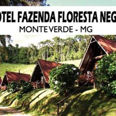 Hotel Fazenda Floresta Negra