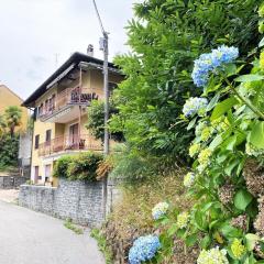 Welcoming holiday home in Germignaga with garden