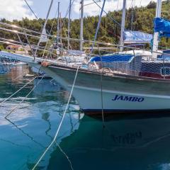 Jambo die etwas andere Ferienwohnung am(im) Meer