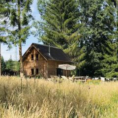 La cabane de l'étang