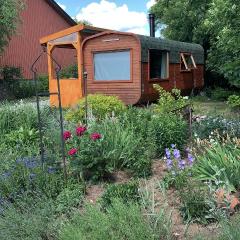 Irenes Tinyhouse