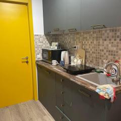 Bakuriani mix appartment 210