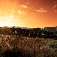 Denver Marriott Westminster
