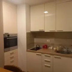 Vila Borova Zlatibor Apartman 501