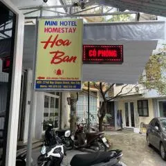 Hoa ban Homestay