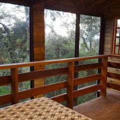 Chalé dos Tucanos- Parede de vidro com linda vista