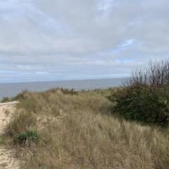 Sandy Dunes at the Beach - Beachfront, Wi-Fi, Pets home