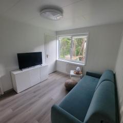 Eco apartment in Jurmala