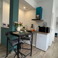 Appartement centre ville avec parking privatif