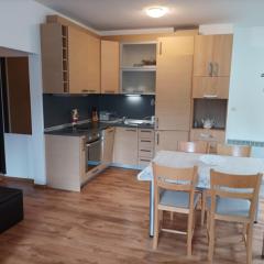 Apartment 2 Detelina Residence