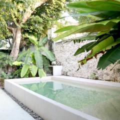 Beautiful Casa Visit Merida Yucatan as a local
