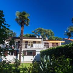 Apartments by the sea Njivice, Krk - 20519