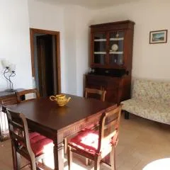 Azienda Il Tizzano