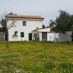 Casa Matilda - Abbasanta - Sardegna - IUN R4877