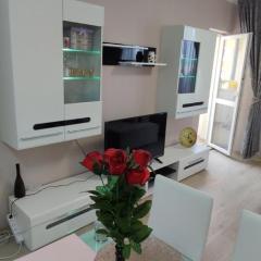 Luxury and stylish apartmen, metro station Obelya