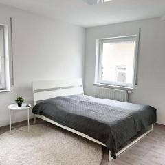 Neu sanierte Einzimmerwohnung