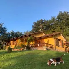 La Peñona Carancos 48 en Nava