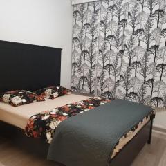 Lovely Two Room Apartment in Helsinki