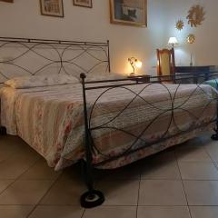 Cisanello Room Rent