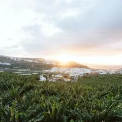 Tortuga blue house in banana plantation