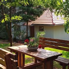 Holiday home in Pakozd - Velence-See 43968