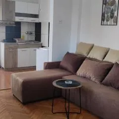 Apartment Mina